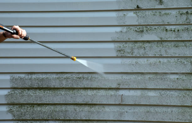 Best Roof Pressure Washing  in Greenhills, OH